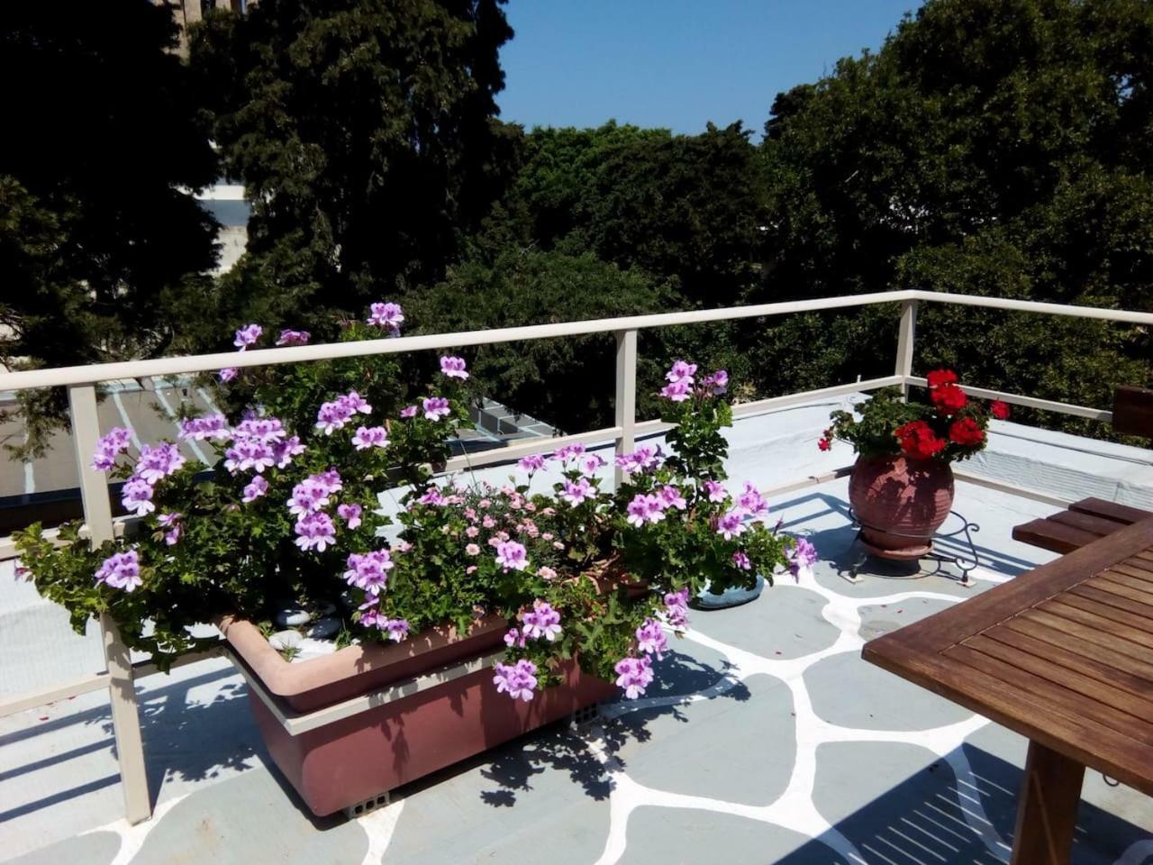 Park House -Beside The Medieval Town Of Rhodes Rhodes City المظهر الخارجي الصورة