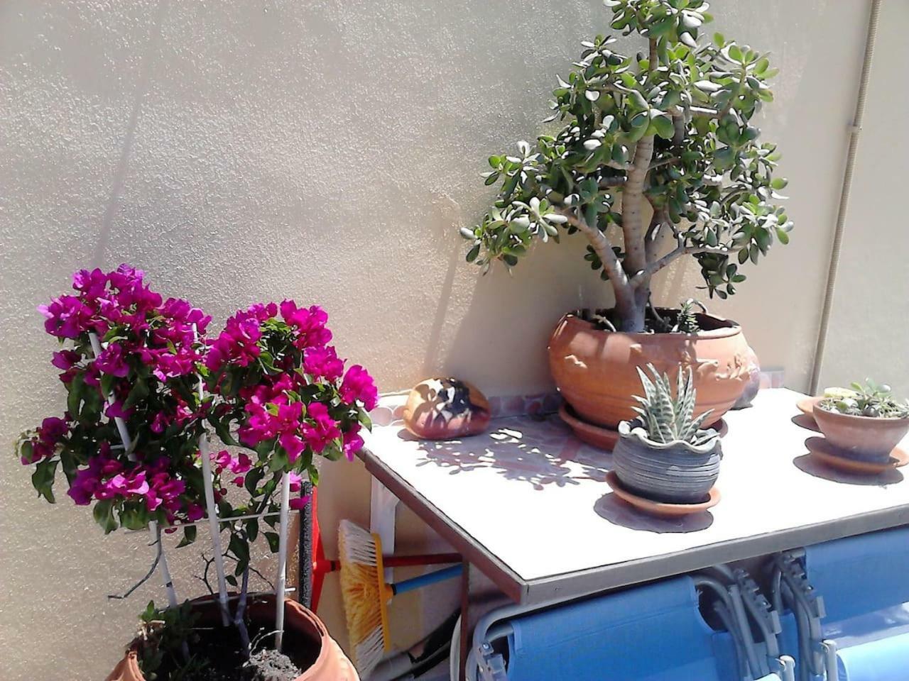 Park House -Beside The Medieval Town Of Rhodes Rhodes City المظهر الخارجي الصورة
